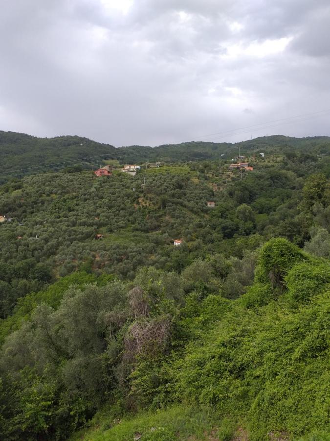 サルツァーナ Casa Di Vecchio Borgoヴィラ エクステリア 写真